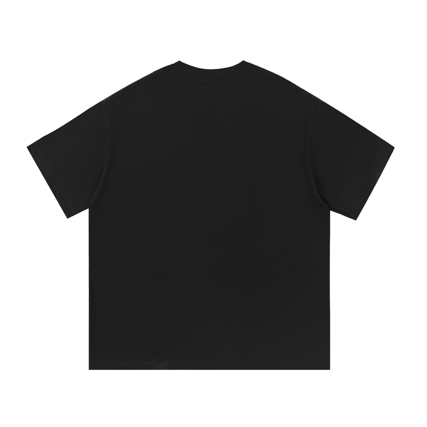HBCU Spirit of 1887 Pride T-shirt